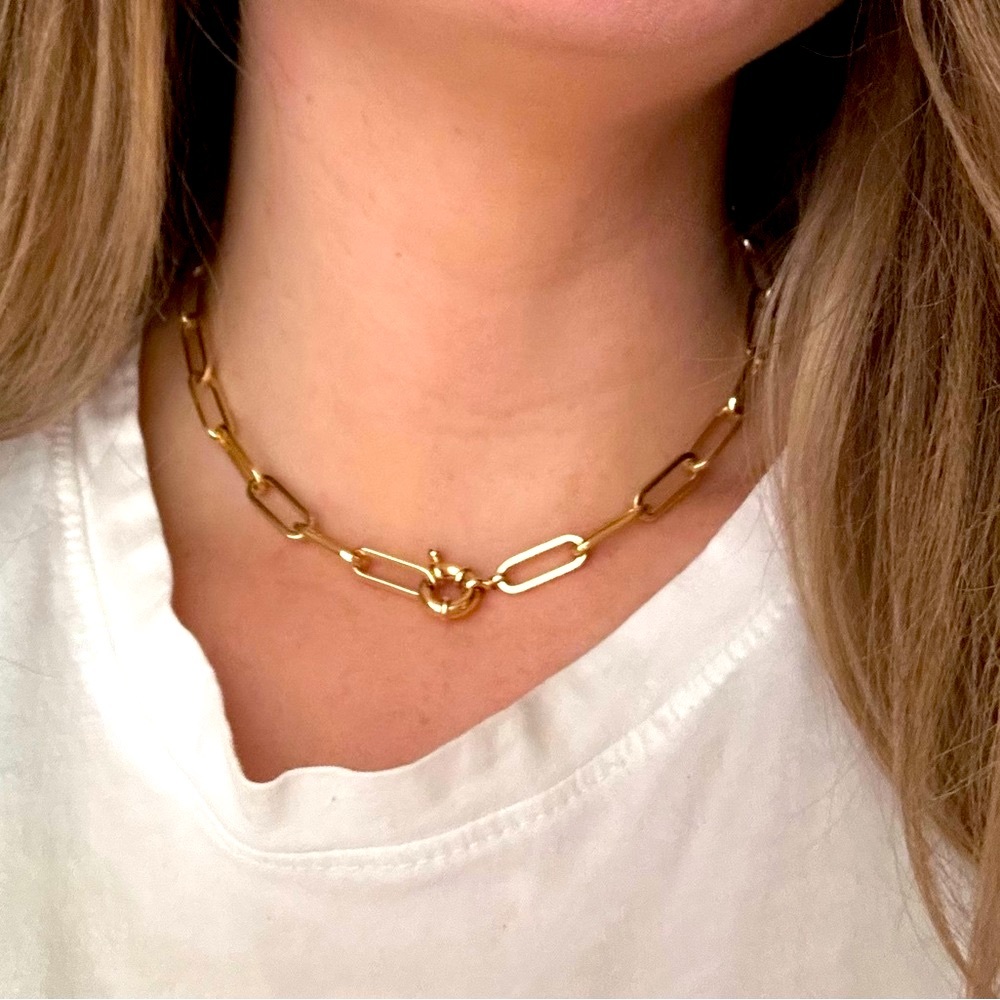 Pashey Bella Paperclip Choker